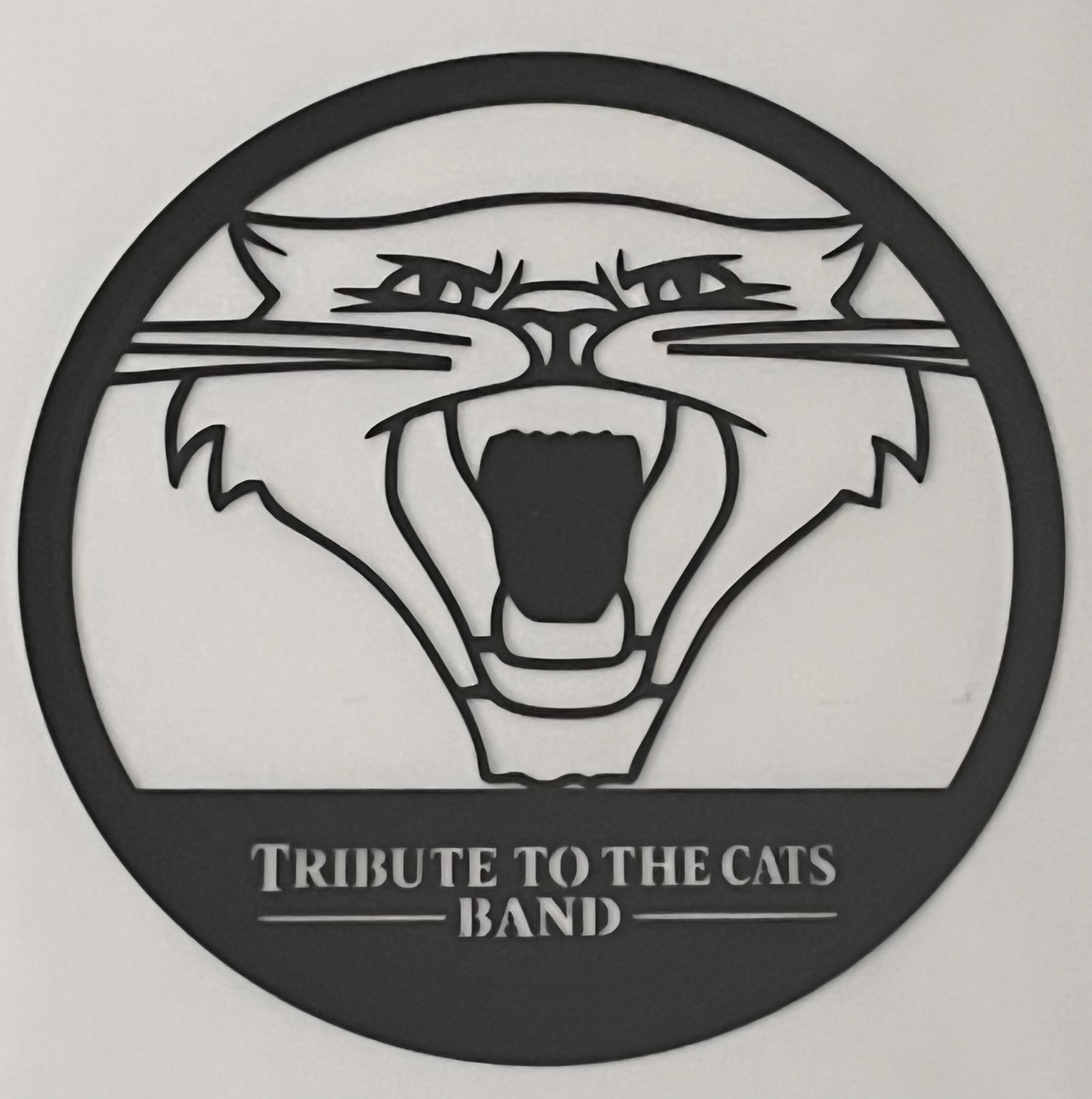 Tribute to the Cats Band